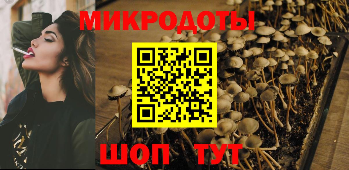 Псилоцибиновые грибы прущие грибы  Псилоцибиновые грибы MAGIC MUSHROOMS  Вход с VPN  Медногорск 